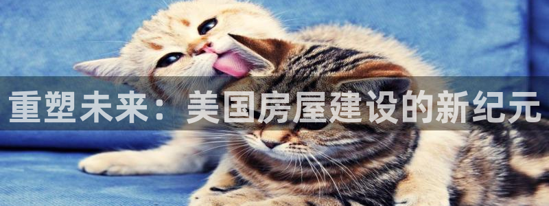 安信12注册登录下戴：重塑未来：美国房屋建设的新纪元