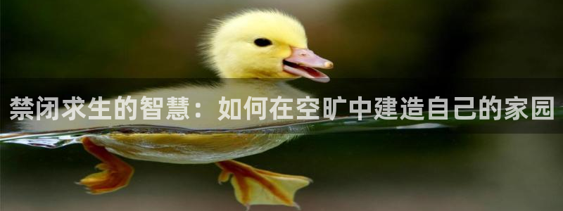 安信12平台开户：禁闭求生的智慧：如何在空旷中建造自己的家园