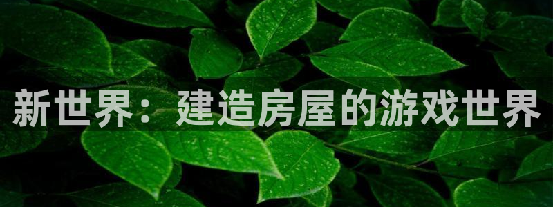 安信12赛车：新世界：建造房屋的游戏世界