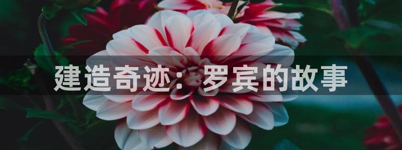 安立信T12测评：建造奇迹：罗宾的故事