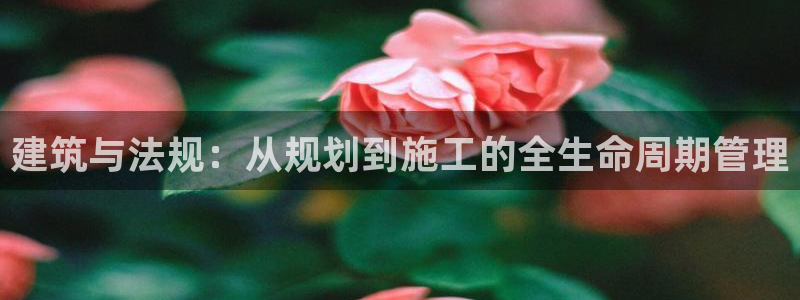 安信4特邀55 12：建筑与法规：从规划到施工的全生命周期管理