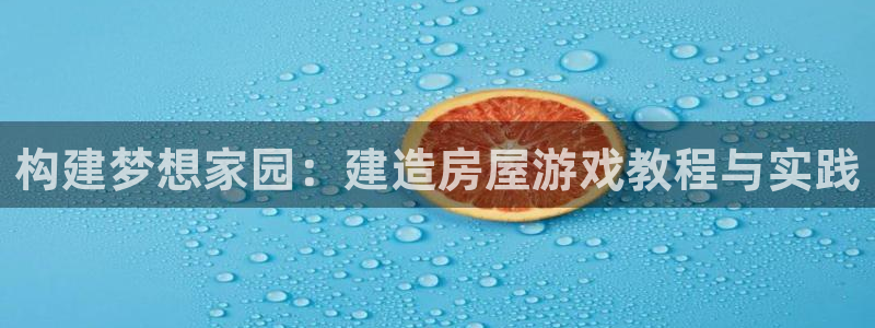 安信12是什么：构建梦想家园：建造房屋游戏教程与实践
