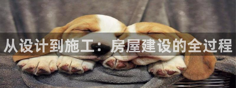 安信12娱乐：从设计到施工：房屋建设的全过程
