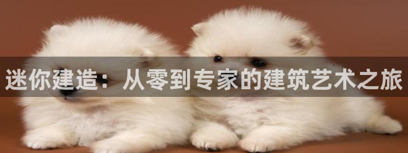 安信可f12：迷你建造：从零到专家的建筑艺术之旅