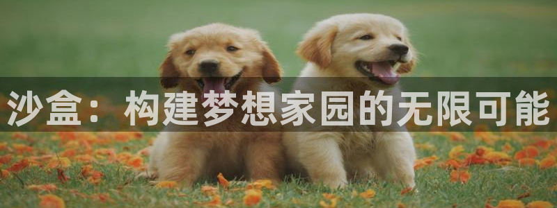 安信12级灯牌：沙盒：构建梦想家园的无限可能