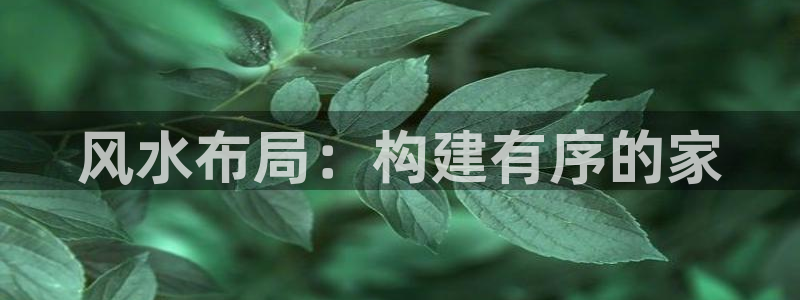 安信12软件介绍