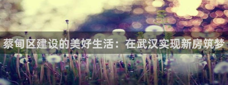 安信信托12 期：蔡甸区建设的美好生活：在武汉实现新房筑梦