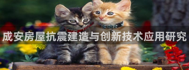 安信esp12：成安房屋抗震建造与创新技术应用研究