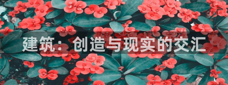 安信12登录网址：建筑：创造与现实的交汇