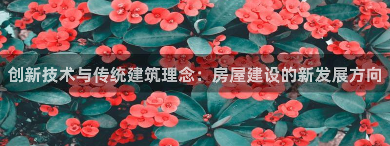 安信12注册代理：创新技术与传统建筑理念：房屋建设的新发展方向