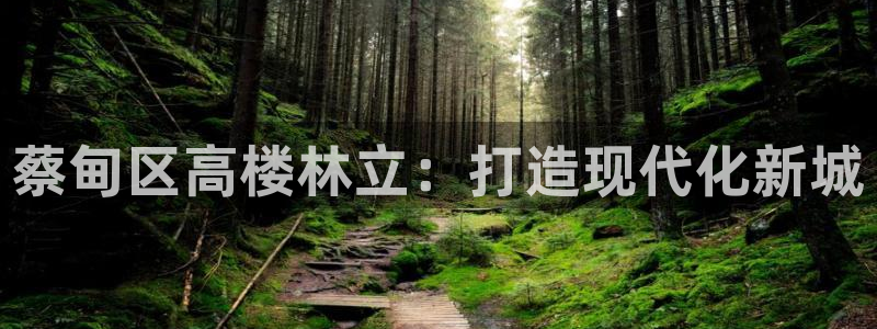 安信12app下载：蔡甸区高楼林立：打造现代化新城