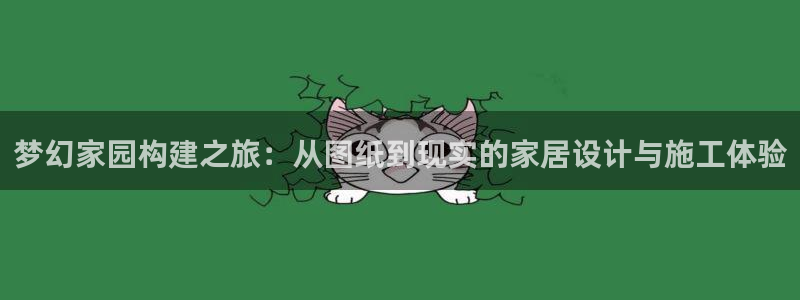 安信12包赔：梦幻家园构建之旅：从图纸到现实的家居设计与施工体验