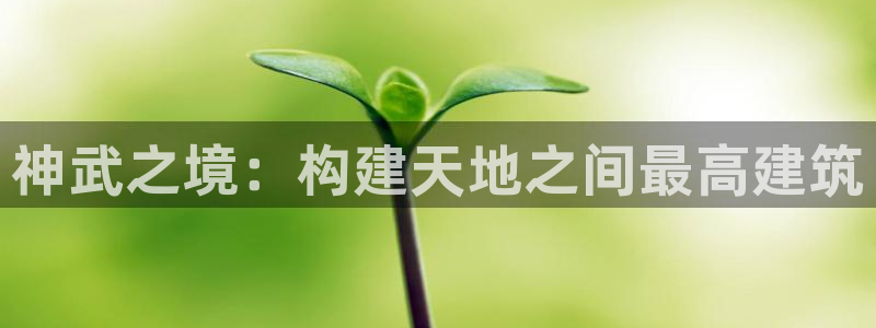 安信12平台的网址：神武之境：构建天地之间最高建筑