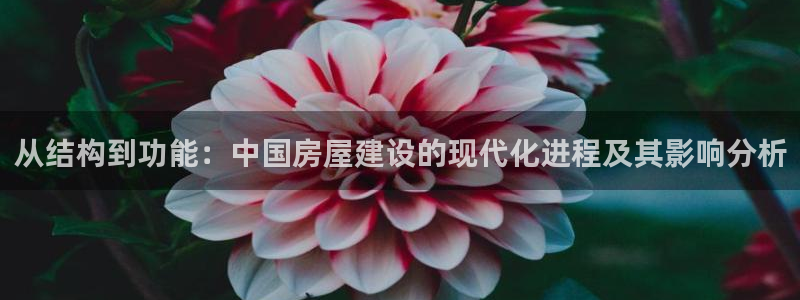 安信12平台的网址：从结构到功能：中国房屋建设的现代化进程及其影响分析