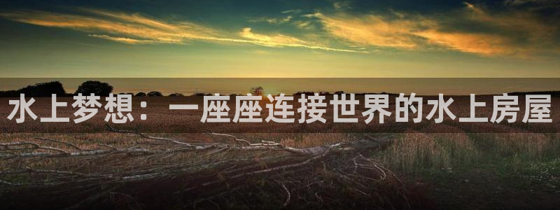 安信122853179Z空间：水上梦想：一座座连接世界的水上房屋